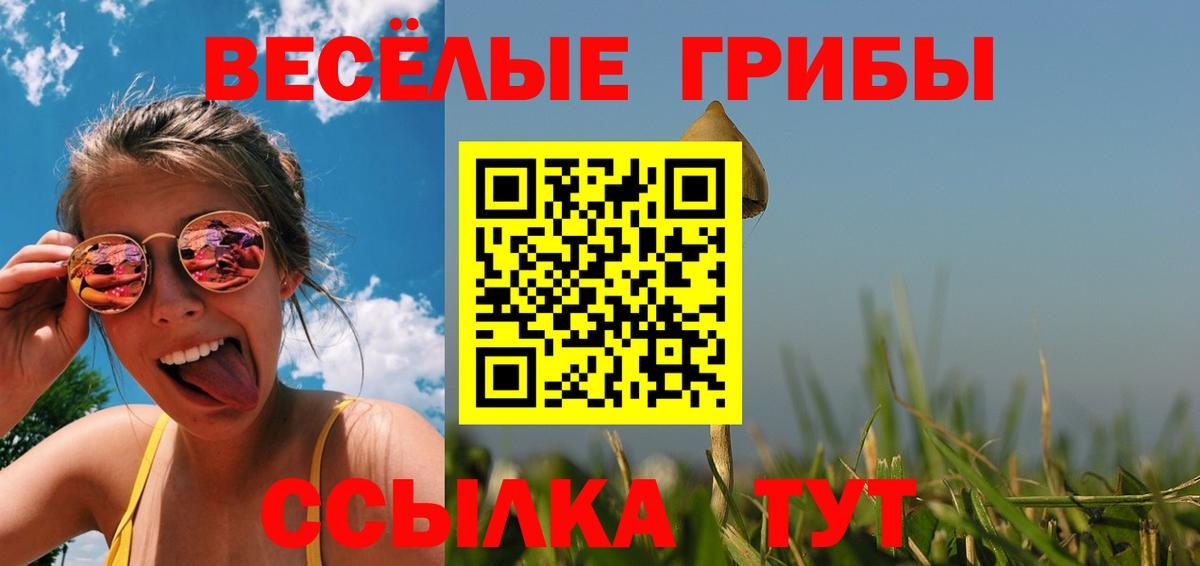 Гусев  Псилоцибиновые грибы прущие грибы  Вход с VPN 